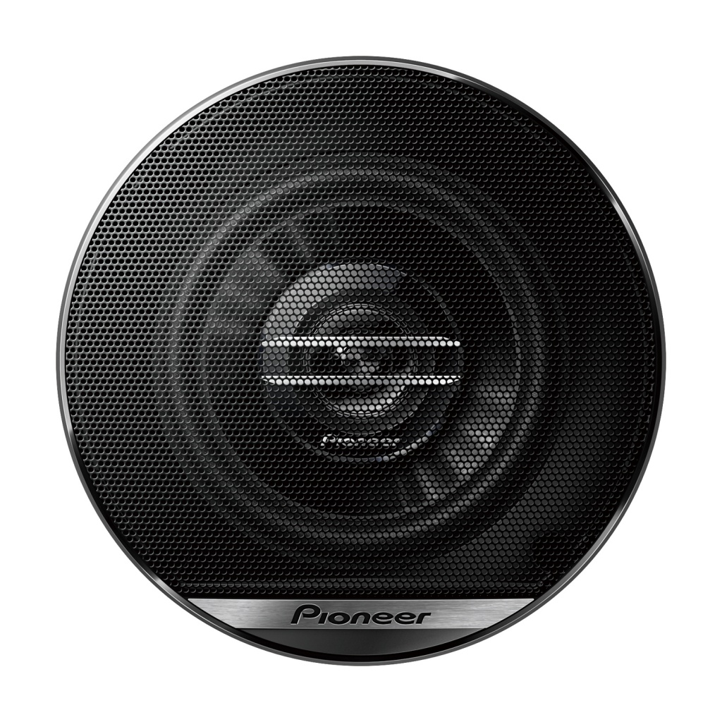 Pioneer TS-G1020F_1.jpg